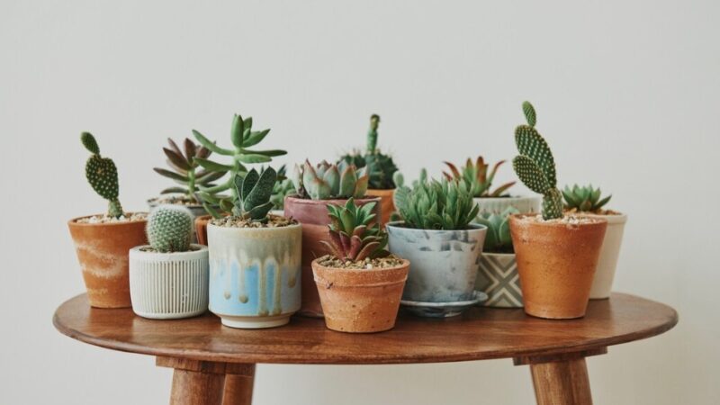 Taupe Plantenbakken voor een Warme Uitstraling in de Tuin