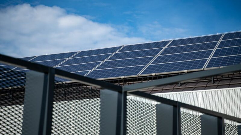 Strategieën om kraaien bij zonnepanelen te verjagen