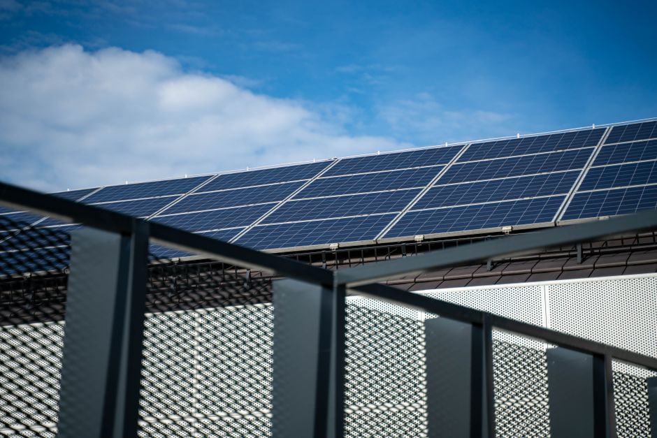 Strategieën om kraaien bij zonnepanelen te verjagen